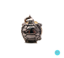 Load image into Gallery viewer, Sterling Silver Turtle